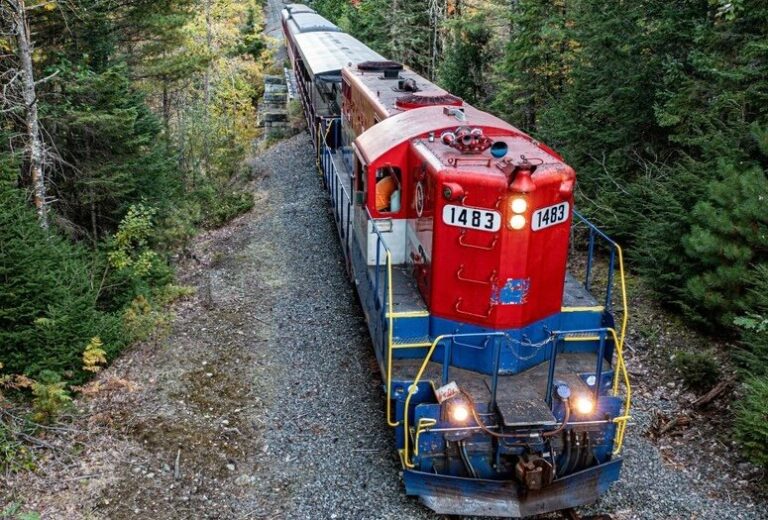 belfastandmooseheadlakerail_santa-express-red-train-forest-track-2 Belfastandmooseheadlakerail Santa Express Red Train Forest Track