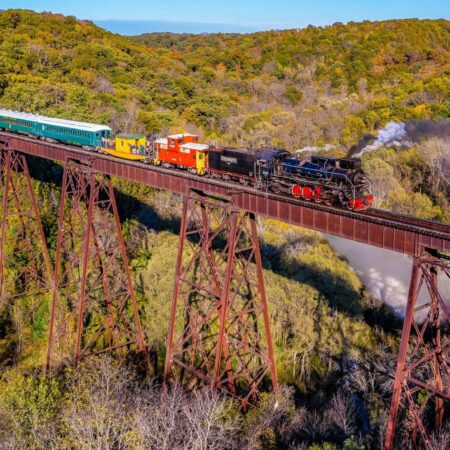 Bsvrr The Fraser Train Steam Train Trestle Forest