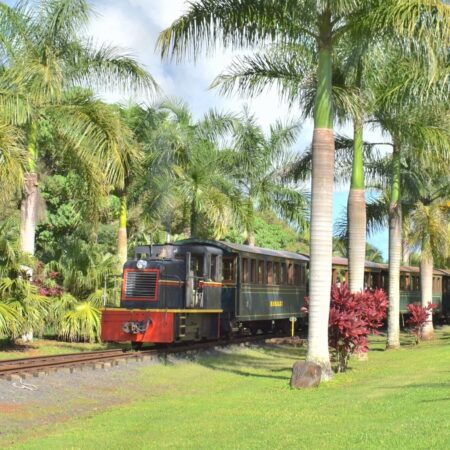 Kauaiplantationrailway Train Lunch Orchard Adventure Train Palm Trees Greenery