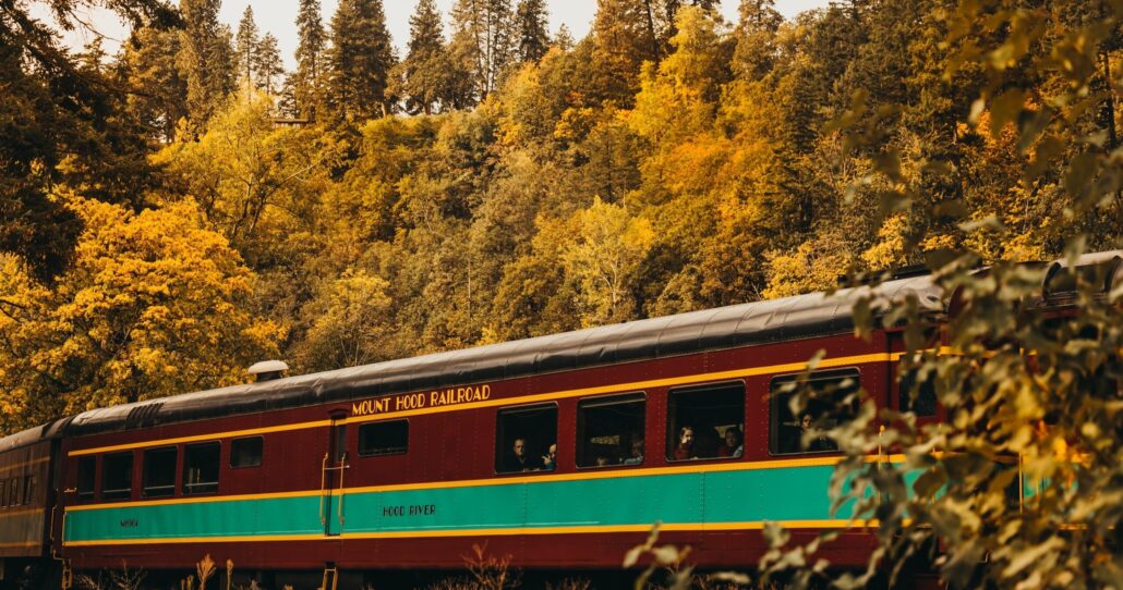 Mthoodrailroad Fall Train Fall Train Autumn Forest