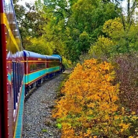 Mthoodrailroad Fall Train Fall Train Colorful Foliage