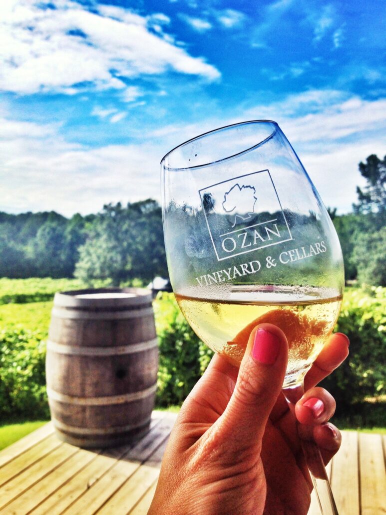 ozanwine_morning-wine-brunch-train-wine-glass-vineyard-barrel-sky Ozanwine Morning Wine Brunch Train Wine Glass Vineyard Barrel Sky