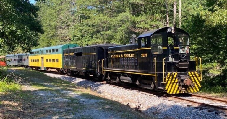 ozanwine_trackside-train-reservation-train-black-yellow-green-cars Ozanwine Trackside Train Reservation Train Black Yellow Green Cars