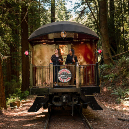 Skunktrain New Presidential Class Car Redwood Redwood Train Women Forest