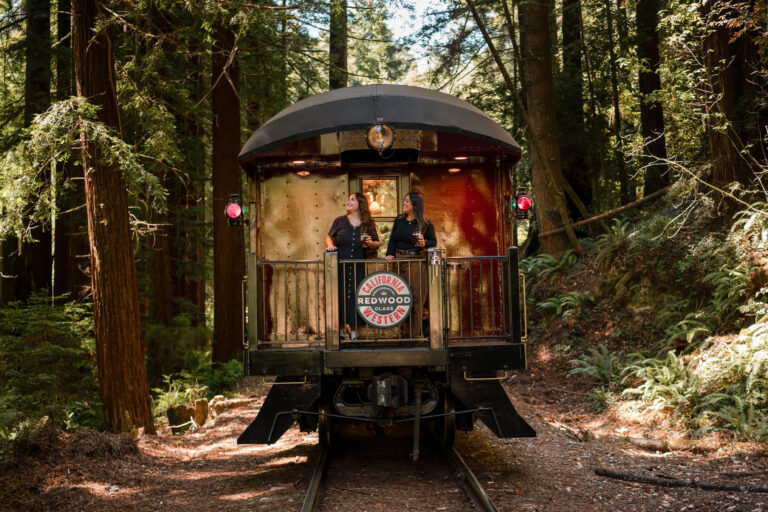 Skunktrain New Presidential Class Car Redwood Redwood Train Women Forest