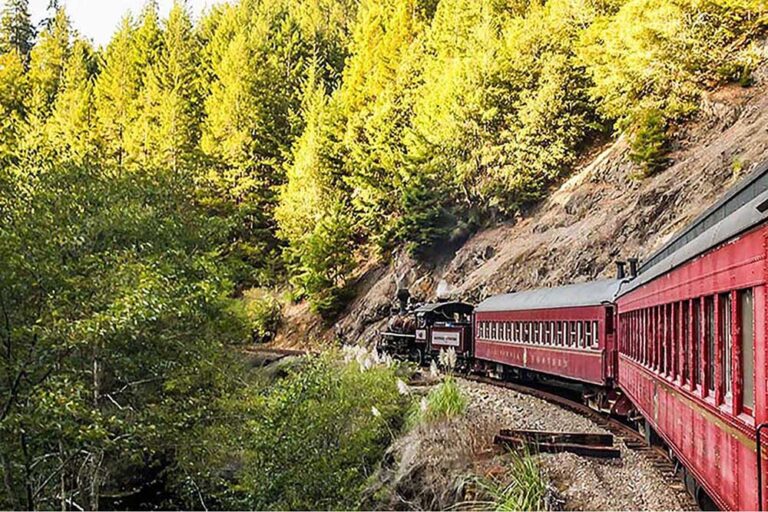 skunktrain_wolf-tree-turn-railbikes-pudding-creek-train-forest Skunktrain Wolf Tree Turn Railbikes Pudding Creek Train Forest