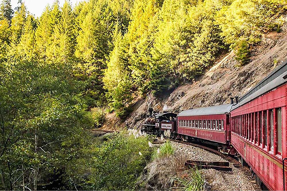 skunktrain_wolf-tree-turn-railbikes-pudding-creek-train-forest Skunktrain Wolf Tree Turn Railbikes Pudding Creek Train Forest