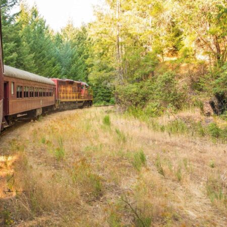 Skunktrain Wolf Tree Turn Train Curving Forest Track