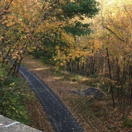 Tracksandyaksllc Bike Train Autumn Pathway Leaves Trees