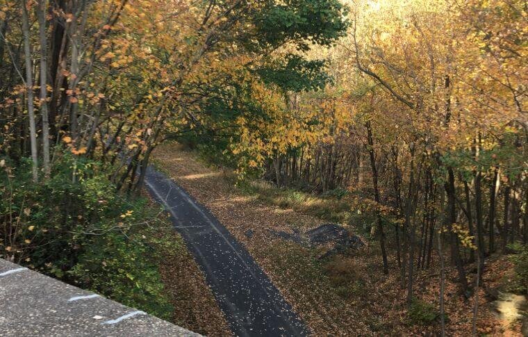 tracksandyaksllc_bike-train-autumn-pathway-leaves-trees Tracksandyaksllc Bike Train Autumn Pathway Leaves Trees