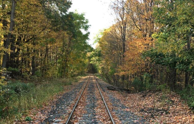 tracksandyaksllc_bike-train-train-tracks-autumn-forest Tracksandyaksllc Bike Train Train Tracks Autumn Forest