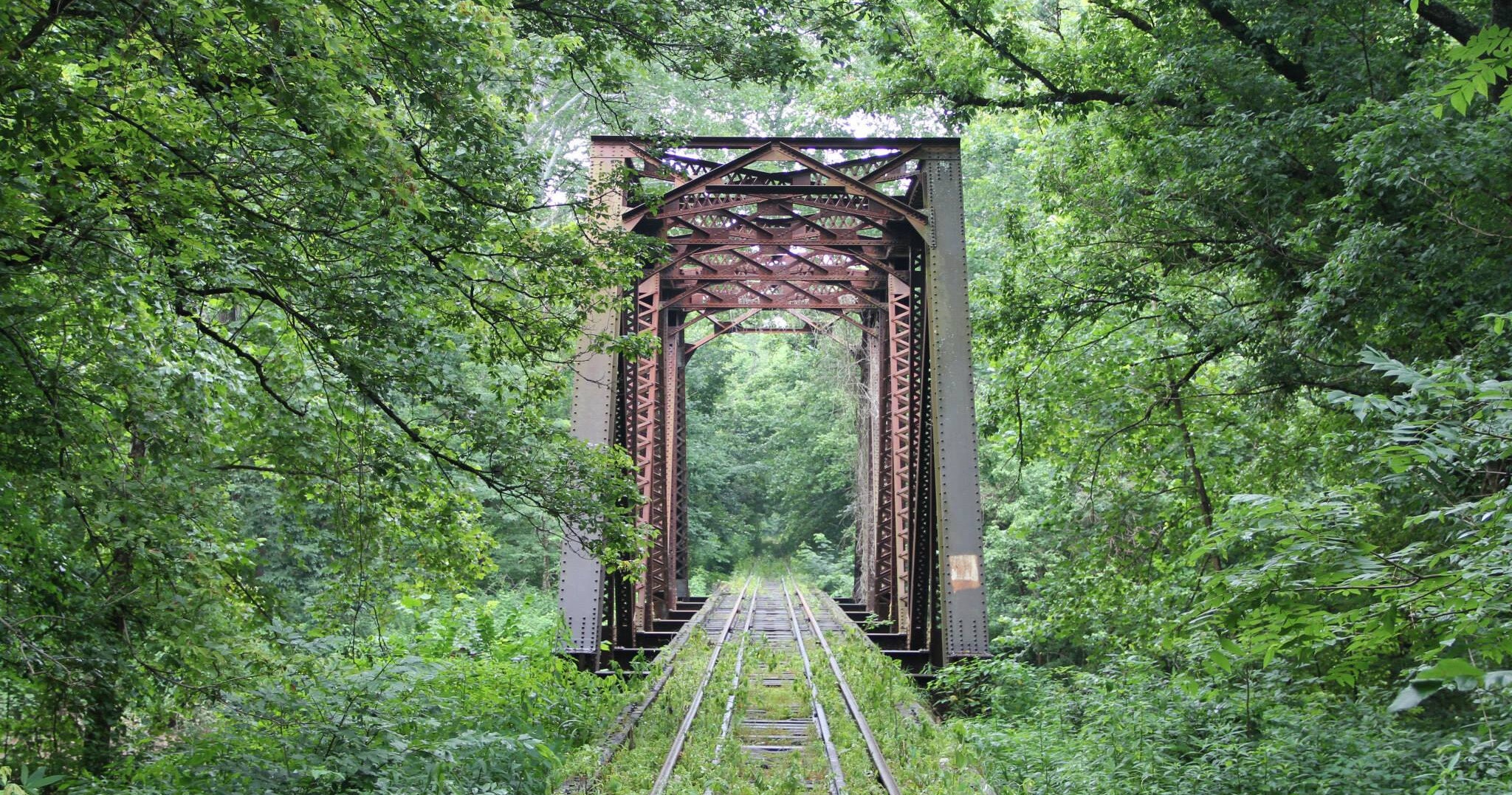zwsr_train-ride-train-bridge-forest-tracks Zwsr Train Ride Train Bridge Forest Tracks